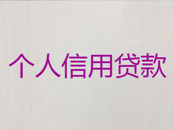 五指山贷款公司-银行信用贷款